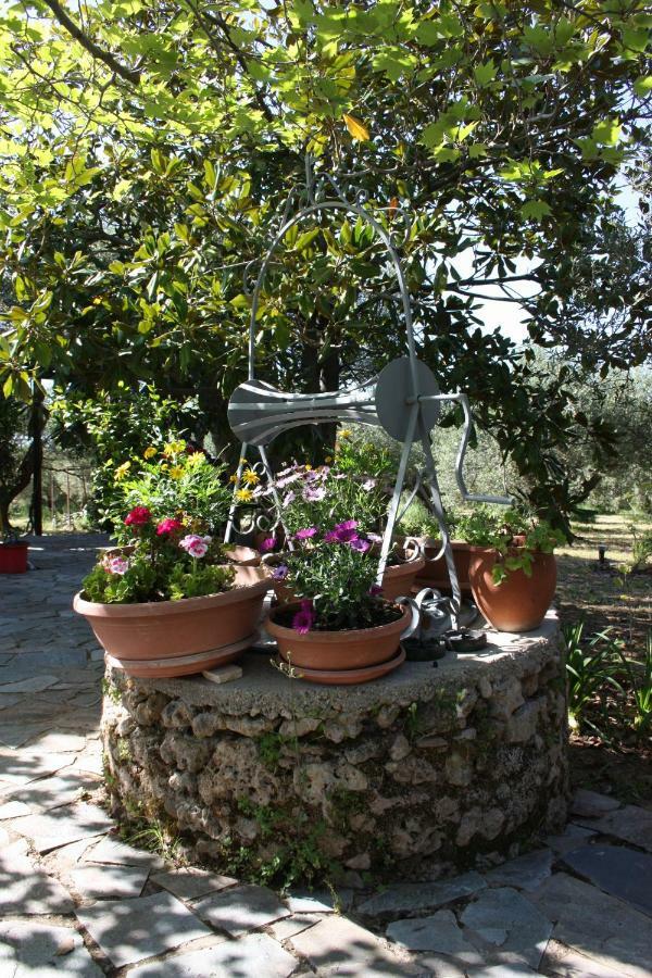 Mercouri Stone Cottage Korakochori Экстерьер фото