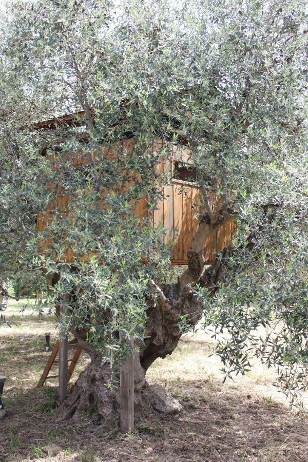 Mercouri Stone Cottage Korakochori Экстерьер фото